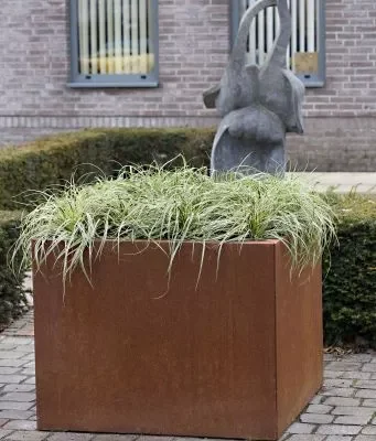 Plantenbak_Vlak_Corten_60x30x40_cm (1) Plantenbak_Vlak_Corten_60x30x40_cm (1)