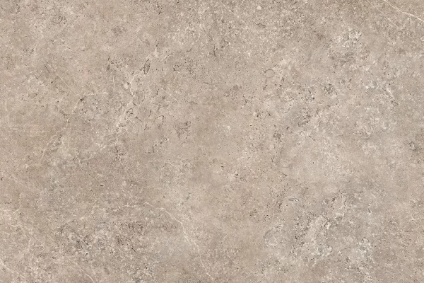 LST_TAUPE (1) LST_TAUPE (1)